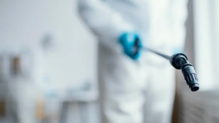 Pragas mais comuns em apartamentos: como prevenir infestação