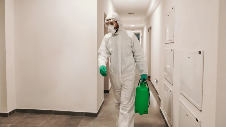 É seguro ficar em casa após a dedetização?