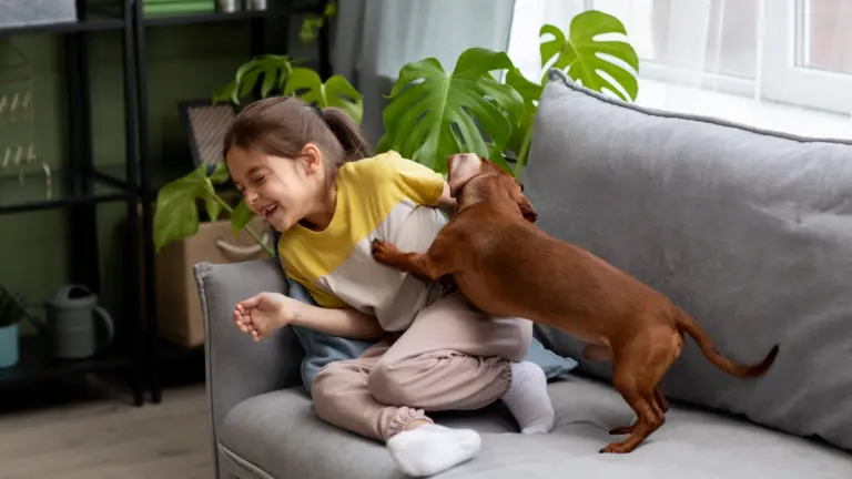 Pragas mais perigosas para pets e crianças