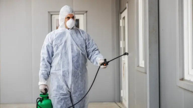 Comece o ano sem pragas: quando fazer dedetização