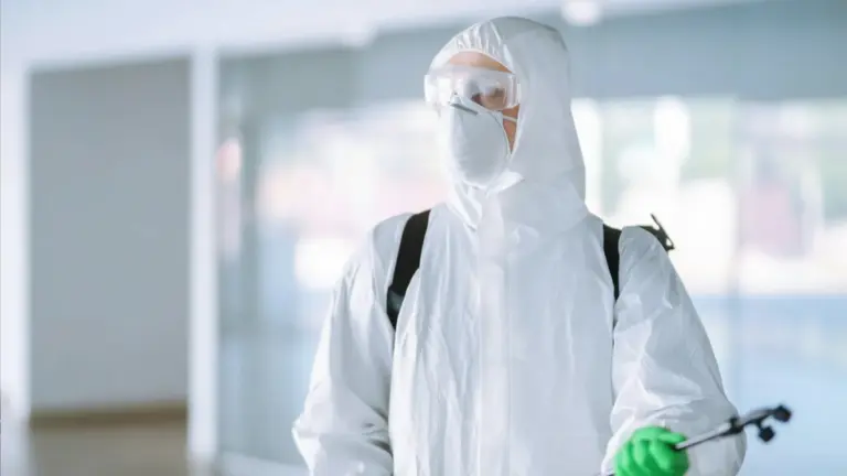 Como saber se preciso contratar uma dedetizadora