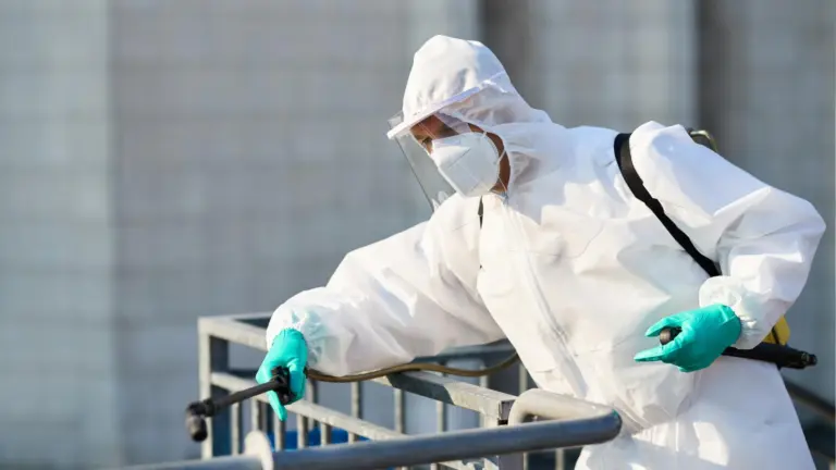 Dedetizadora em BH: quanto tempo leva o serviço?