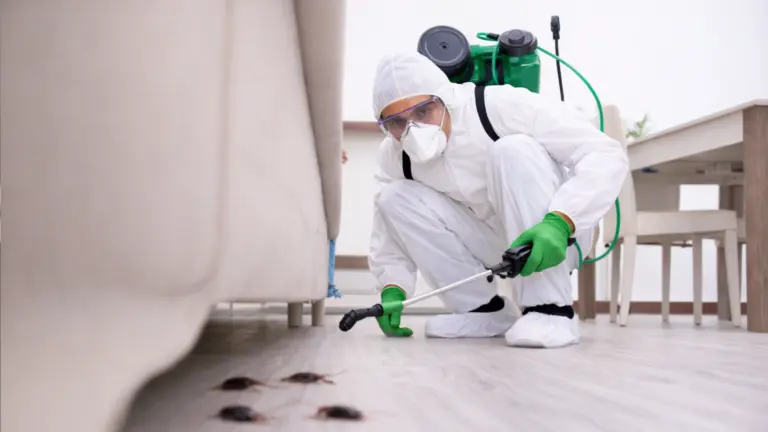 Como saber se há infestação no meu apartamento?