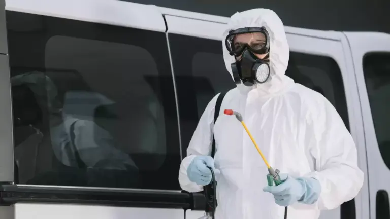 Dedetizadora em BH: como escolher a melhor