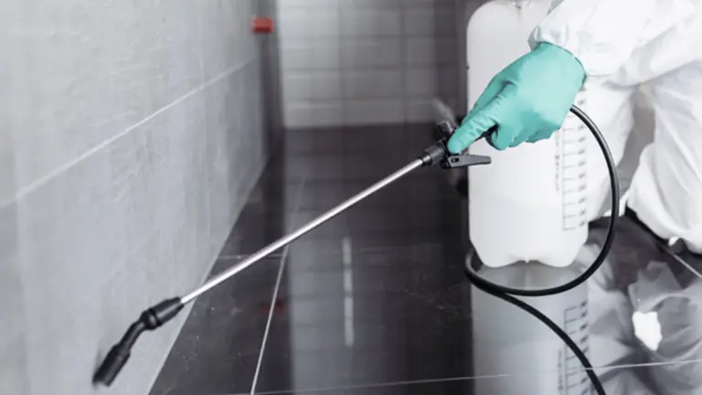 Esse erro comum pode estar atraindo pragas para sua casa