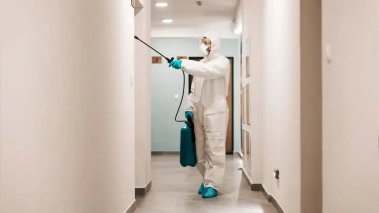 Preciso sair de casa durante a dedetização?