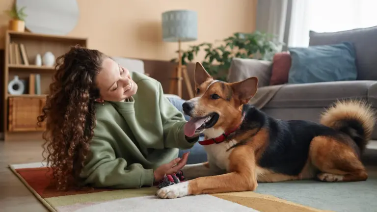 Dedetização é segura com pet em casa?